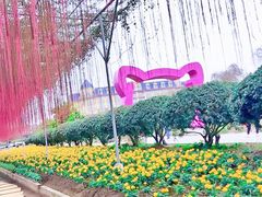 -百万葵园