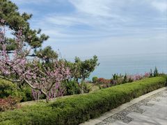 -燕儿岛山公园