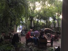 -Fern Forest Cafe
