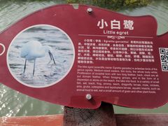 -北海金海湾红树林生态旅游区