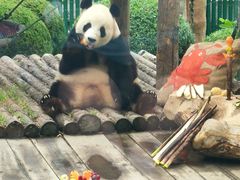 -大连森林动物园