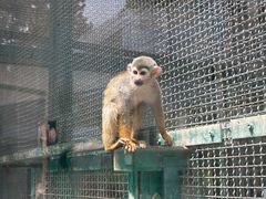 -郑州市动物园