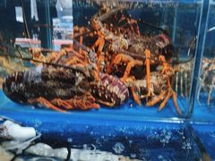 -岳各庄批发市场(西四环中路店)