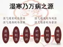 -安吉拉青春化管理中心