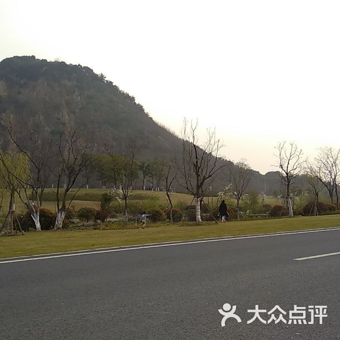 锡山凤凰山湿地公园图片