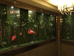 -东方之珠洗浴休闲广场(南开店)