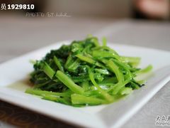 苦菊-甲21号招待所