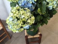 -初甜·舒芙蕾·韩式雪花冰(流塘店)