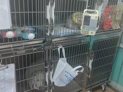 -中农大我爱我爱24h动物医院·中医针灸·猫专科·骨科医疗中心(双井店)