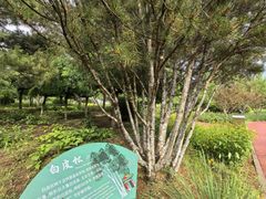 -绿堤公园