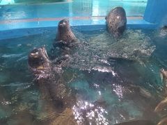 -青岛海底世界-水族馆