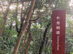 -梧桐山风景名胜区