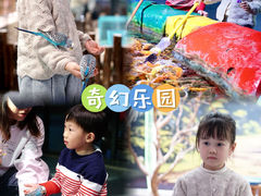 -顺德南宏海立方海洋公园