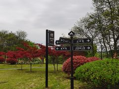 -宜兴龙背山森林公园