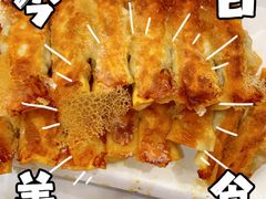 -大眼锅贴饺子(河西店)