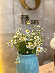 -栖SPA·ONDA ·海菲秀·皑皑科技美肤中心