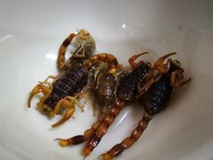 -国英炖品店(甲子路店)