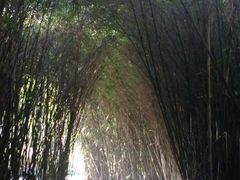 -苏州河梦清园环保主题公园