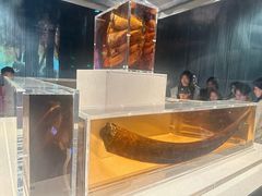 -金沙遗址博物馆