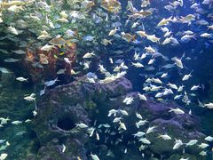 -成都浩海立方海洋公园