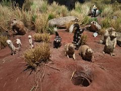 -陕西自然博物馆