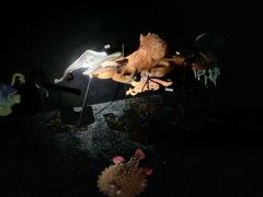 -同济大学四平路校区深海探索馆