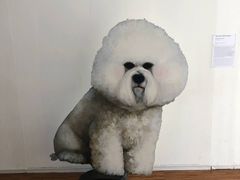 -蓬皮杜艺术中心