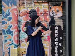 -柴犬高等学院·狗咖·柴犬售卖·宠物训练