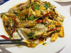 -小海丁
