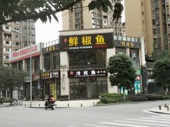 -鲜椒鱼·雅安地标性美食