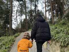 -大金鹰园
