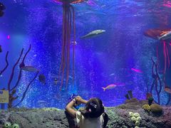 -沈阳海洋探索中心