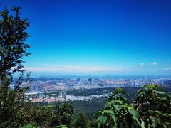 -紫金山山顶公园