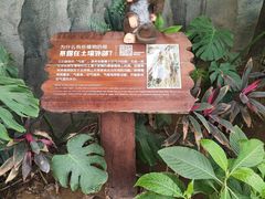 -南宫五洲植物乐园