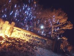 -中旅松花湖滑雪场
