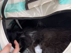 -美联众合动物医院·24h京西诊疗中心