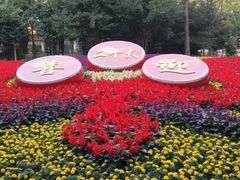 -上海共青森林公园