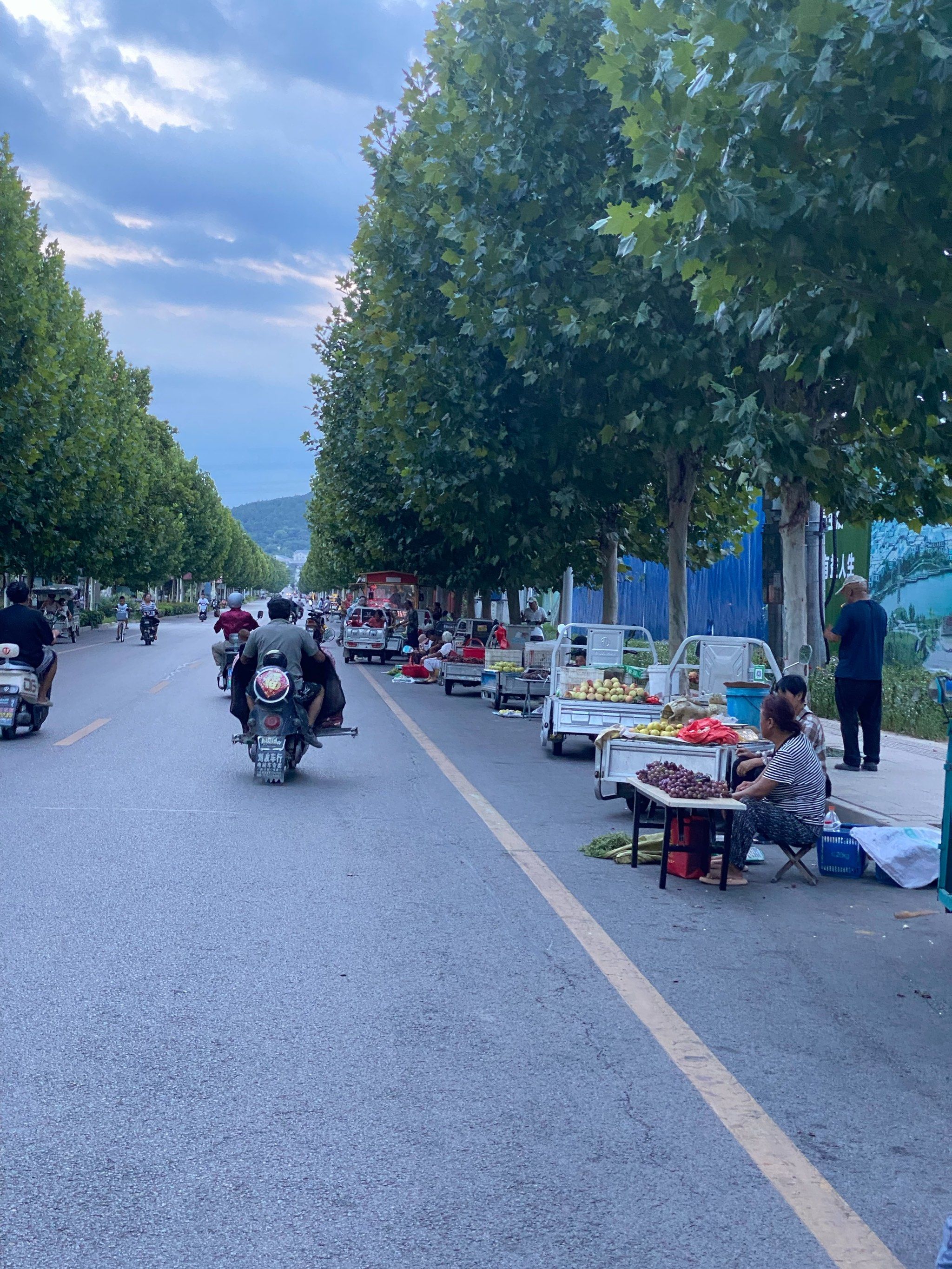 乡村路上的风景线