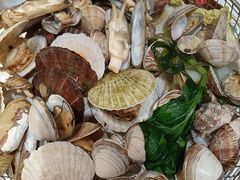 -海味当家·蒸锅海鲜(星海公园店)