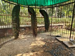 -西双版纳融创皇冠假日度假酒店