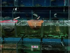 水产区-琼菜坊·无鸡不成宴·海南菜老爸茶糟粕醋(海口骑楼老街店)
