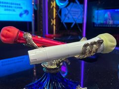 -温莎KTV(珠江路店)