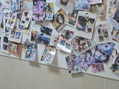 -半岛宠物医院24小时·内窥镜·牙科·碎石中心(府城大道店)