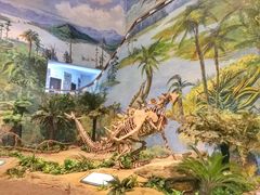 -自贡恐龙博物馆