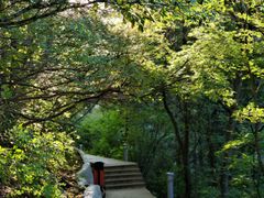 -华山风景名胜区