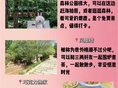 -日照海滨国家森林公园