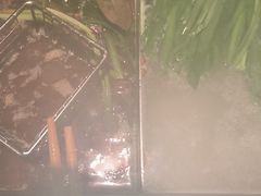 -草原塞蛮羊火锅城(港湾店)