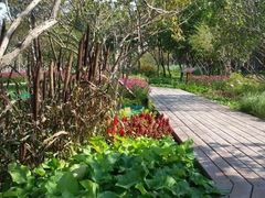 -长春公园(普阳街道)