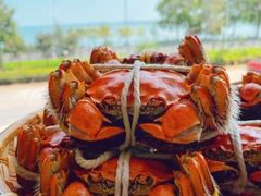 -蟹天蟹地农家菜·阳澄湖大闸蟹(浅水湾店)