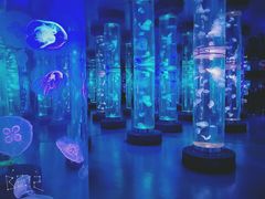 -梦幻海洋王国(吾悦广场张家港店)